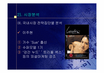 [마케팅전략] 연예인누드집 마케팅전략-13