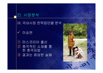 [마케팅전략] 연예인누드집 마케팅전략-16