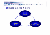 [브랜드] 태평양 화장품의 마케팅전략-16