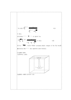 단진자 운동 비선형-9