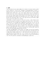 [사회복지정책]청소년정책-12