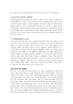 [대중문화] 대중문화속의 대중매체 TV-3