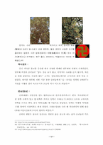 [종교와 문화] 중국의 불교와 문화-20