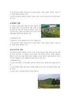 유네스코 지정 한국문화유산-4