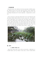 중국 첫 여행을 다녀와서-7