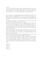 모의 UN회의 일본-7