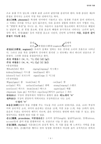 언어와 사회 개론-4