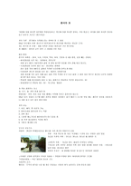 중국의 차 레포트-1