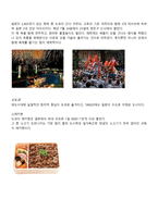 일본 주요 도시의 에키벤과 관광지-7