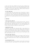 중국 속의 한류의 기원과 변화-2