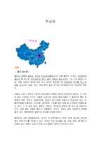 중국 허난 성 레포트-1