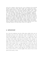 동북지역 보고서-7