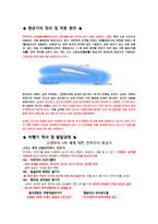 비행기 개발의 역사와 사회 보고서-2