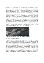 봄봄 작품 분석-6