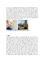 봄봄 작품 분석-8