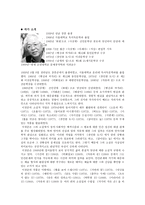 이청준의 눈길 작품 분석-3