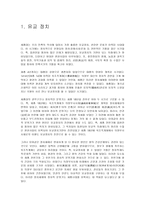세종대왕의 평가-2