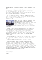 동북삼성의 지리와 문화 특색-6