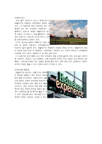 네덜란드의 문화와 에티켓 국제화시대의 매너-8