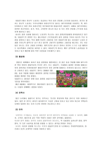 네덜란드의 문화와 에티켓 국제화시대의 매너-17
