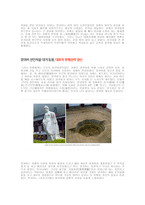 중국 최고 미녀 양귀비-3