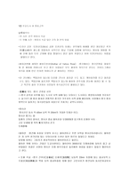 중국 간쑤 성 레포트-3