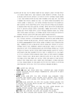 수단공화국 보고서-6