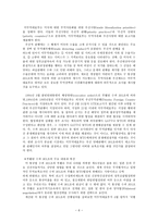 관세론 미국의 통상정책-6