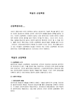 독일의 산업혁명-1