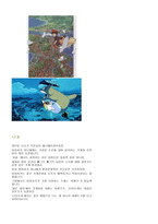 미야자키 작품 특징과 폼포코 특징-11