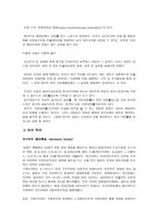 반 케인즈학파 통화 주의론 자새 고전학파-2