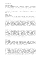 뉴스의 언어적 특징-2