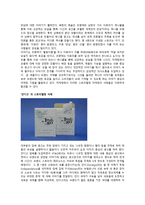스토리텔링과 문화콘텐츠3-3