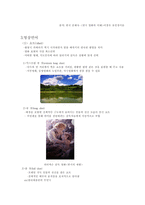 영화 의제 작요 소 촬영기법 및 영화언어의 문제점-2
