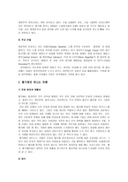 네덜란드 지리적 위치와 역사-8