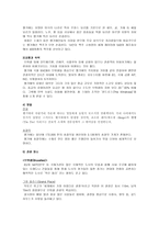 네덜란드 지리적 위치와 역사-9
