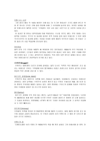네덜란드 지리적 위치와 역사-10