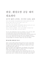 중국 환경여건에 대한 현황과 문제점 및 해결방안-10