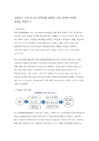 금융위기 이후 미국의 양적완화 정책은 국내 경제 미친 영향-1