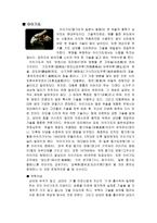 일본의 무술 레포트-5