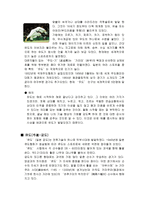 일본의 무술 레포트-7