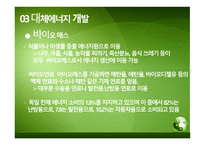 환경 선진국 독일-14