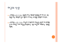 문학사 정통 한문학의 동요와 지속-5