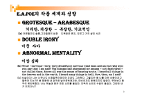 아몬 틸라도 레포트-3