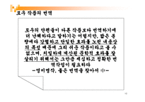아몬 틸라도 레포트-10