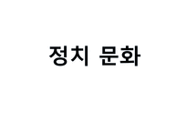 정치문화 레포트-1