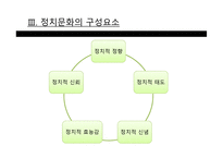 정치문화 레포트-6