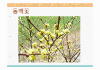 김유정의 문학세계-11