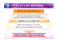 일본의 납북자 문제 쟁점 및 한계-11
