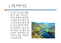 독일 와인 리포트-3